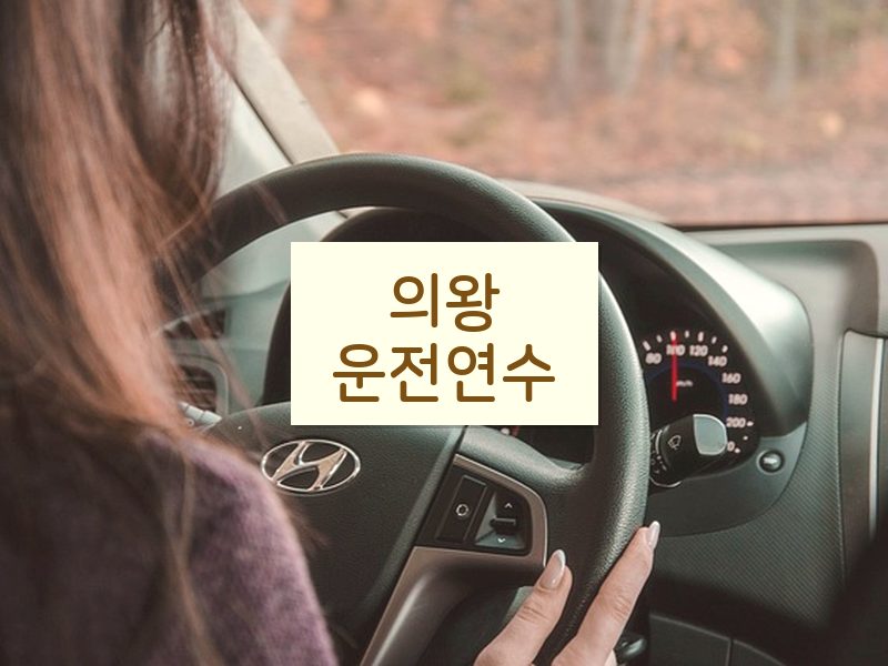 의왕운전연수 후기