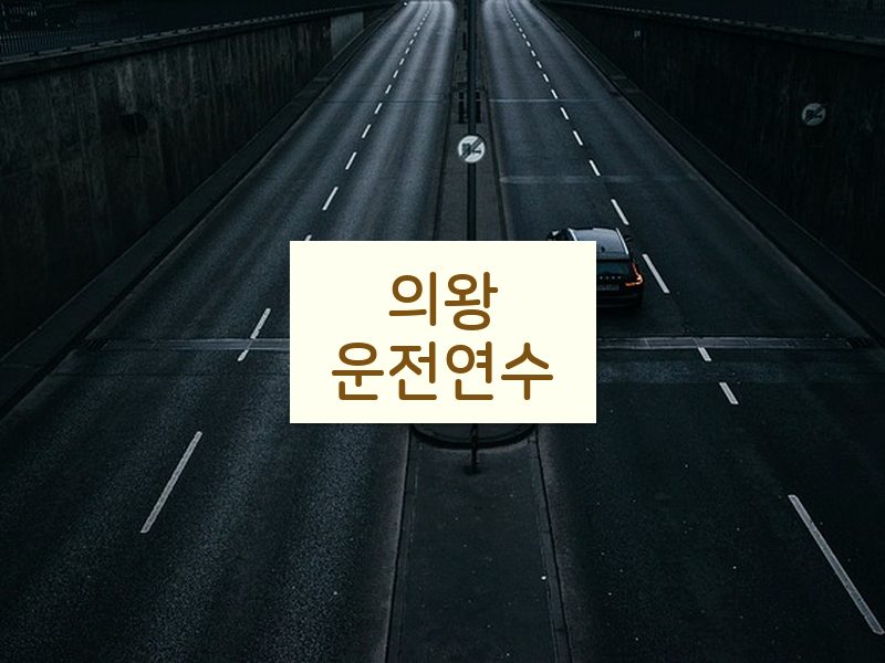 의왕운전연수 후기