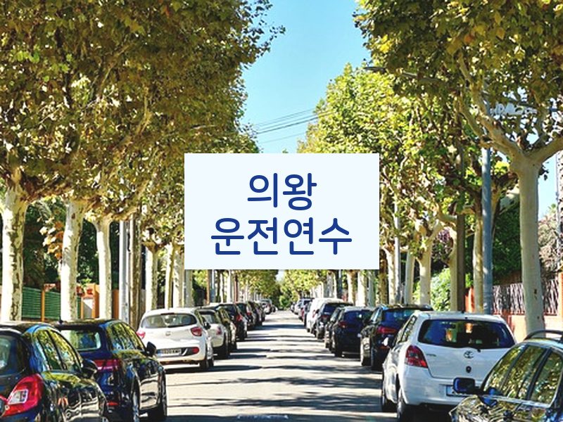 의왕운전연수 후기