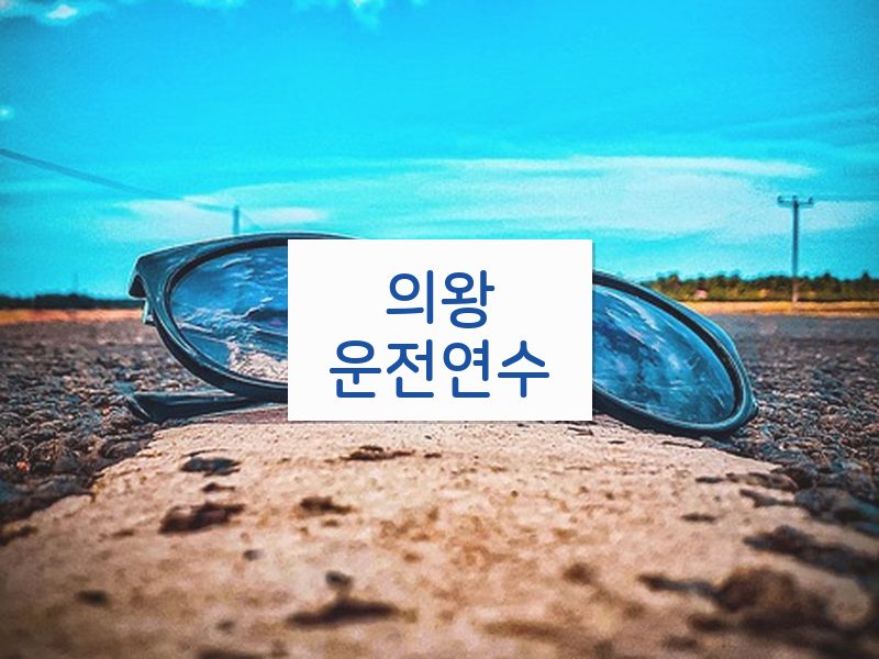 의왕운전연수 후기