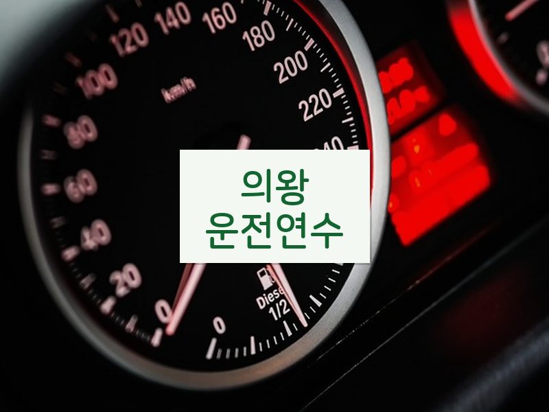의왕운전연수 후기