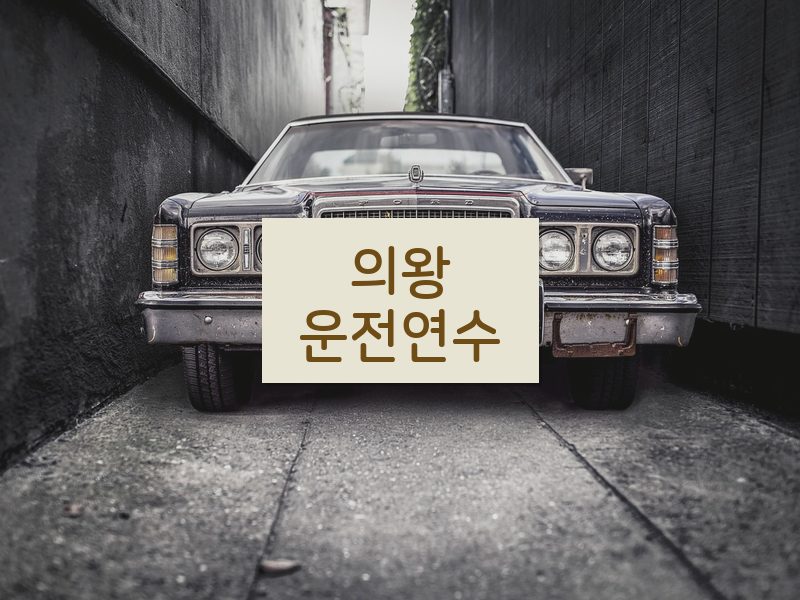 의왕운전연수 후기