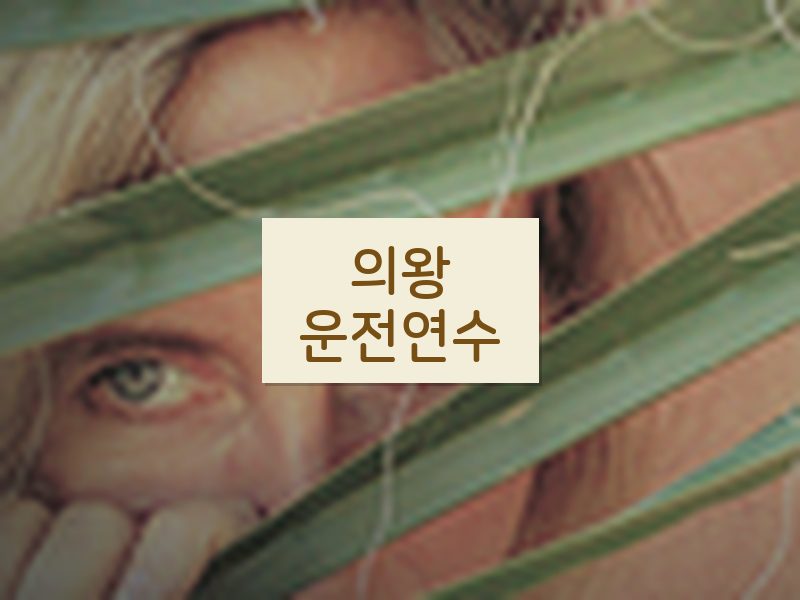의왕운전연수 후기