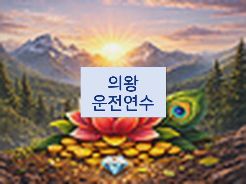 의왕운전연수 후기