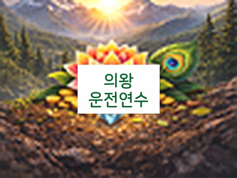 의왕운전연수 후기