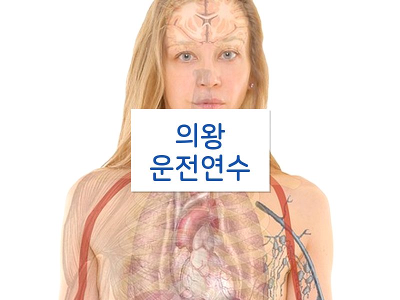 의왕운전연수 후기