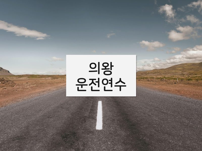 의왕운전연수 후기