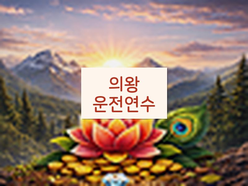 의왕운전연수 후기