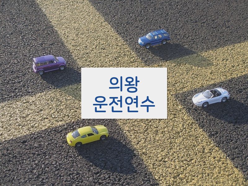 의왕운전연수 후기