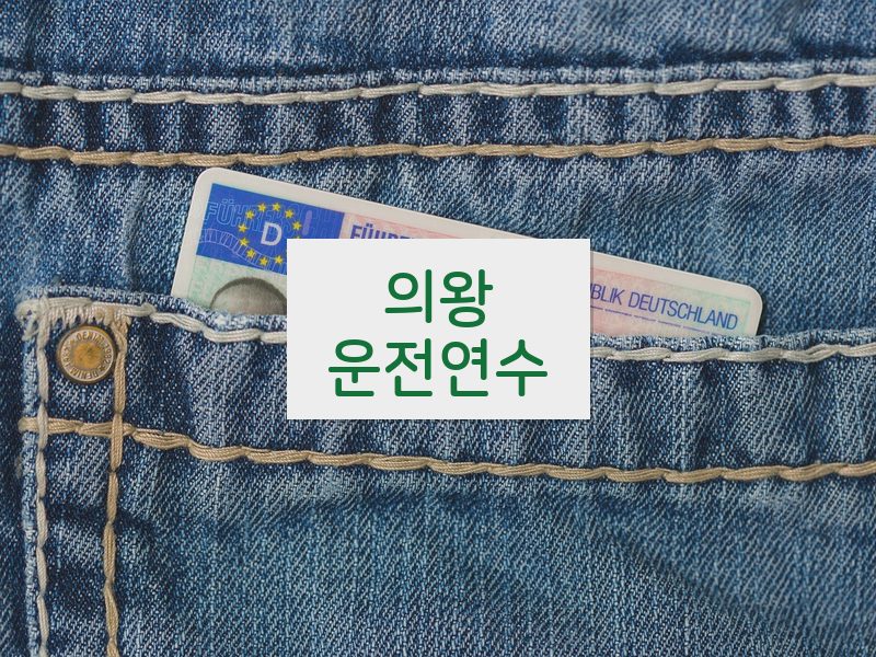 의왕운전연수 후기