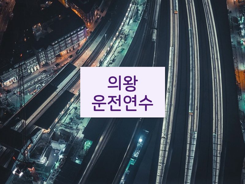 의왕운전연수 후기
