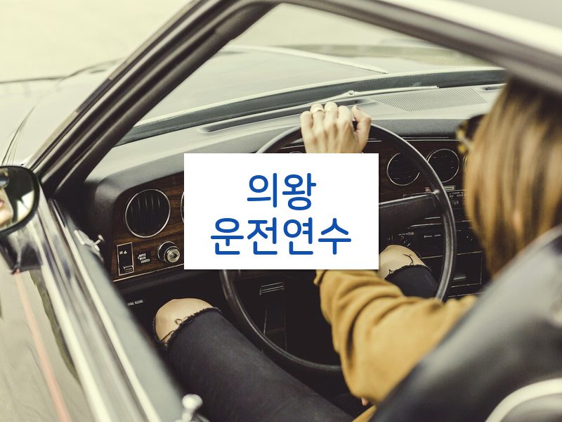 의왕운전연수 후기