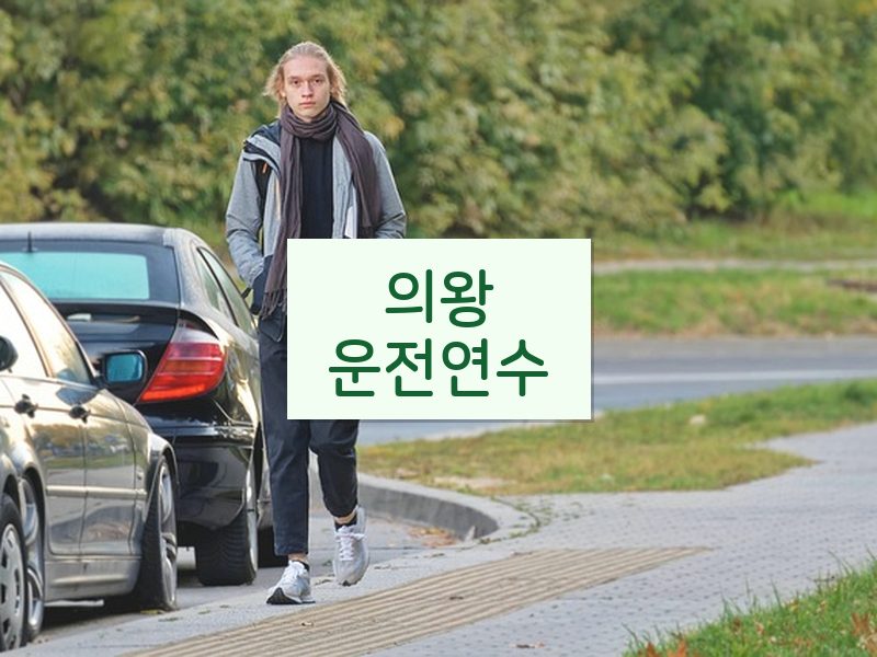의왕운전연수 후기