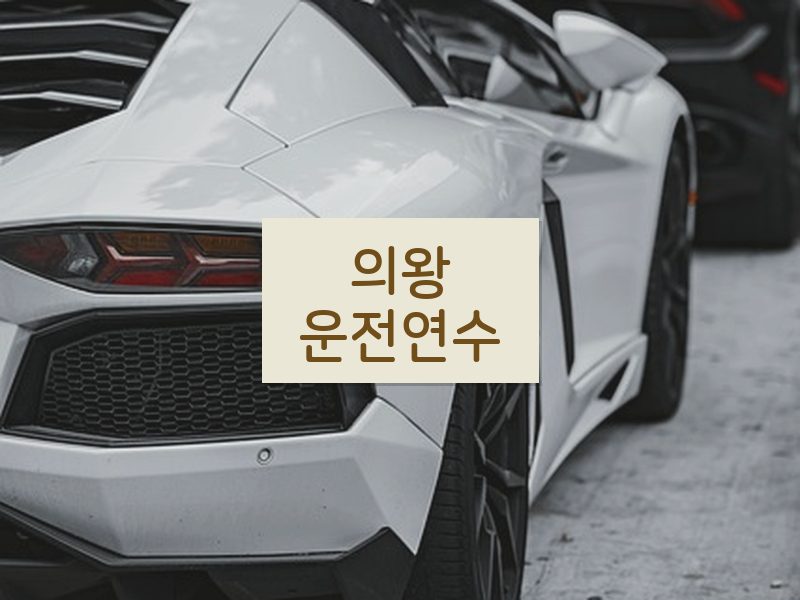 의왕운전연수 후기