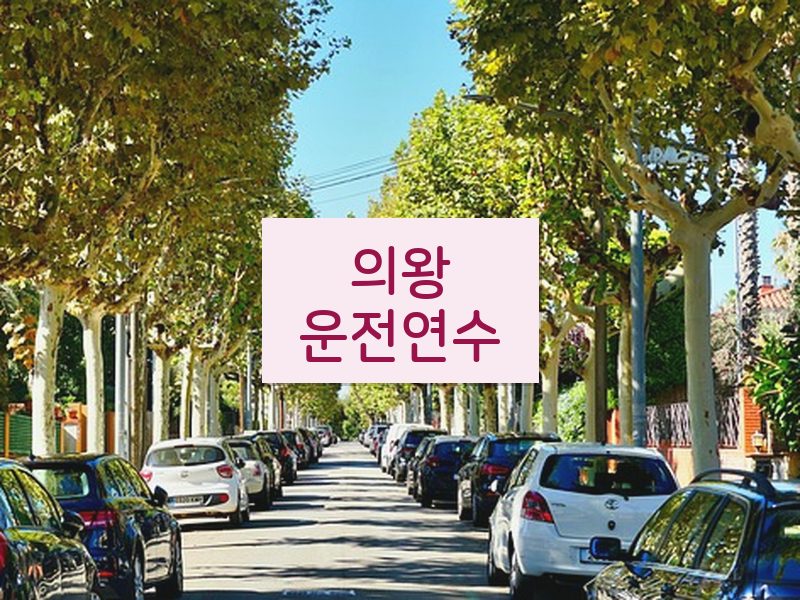 의왕운전연수 후기