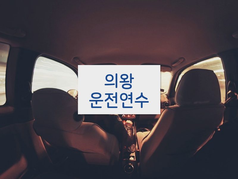 의왕운전연수 후기