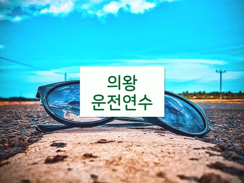 의왕운전연수 후기