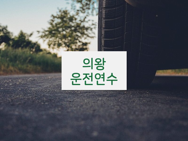 의왕운전연수 후기