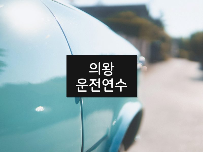 의왕운전연수 후기