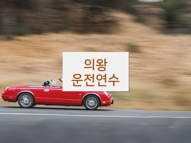 의왕운전연수 후기