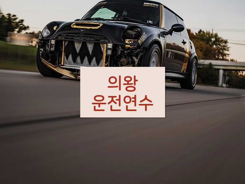 의왕운전연수 후기