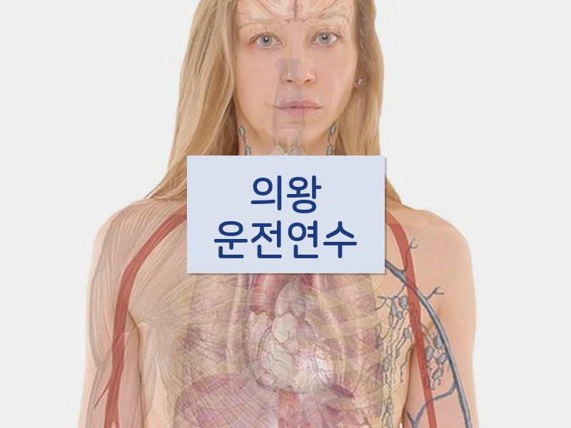 의왕운전연수 후기