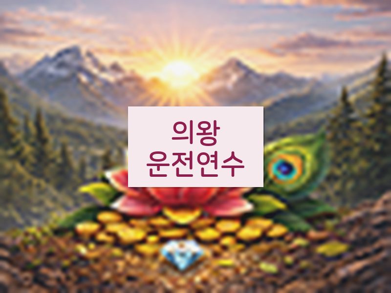 의왕운전연수 후기