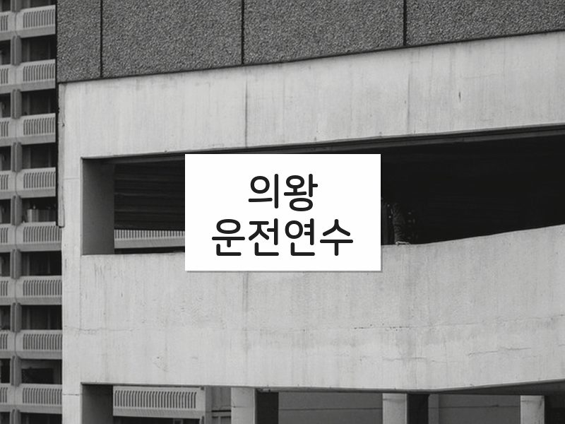 의왕운전연수 후기