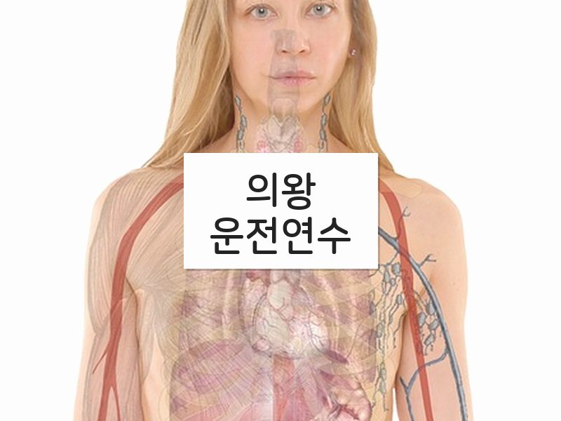 의왕운전연수 후기
