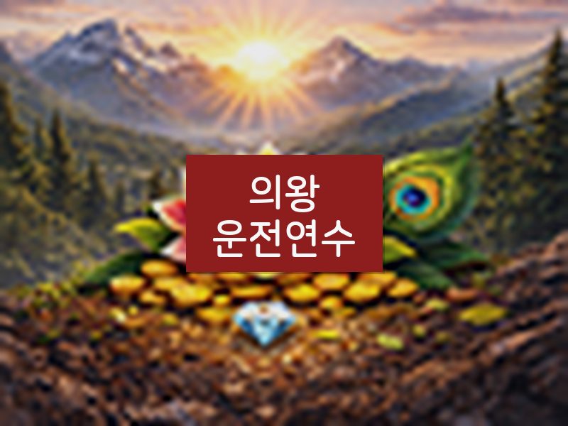 의왕운전연수 후기