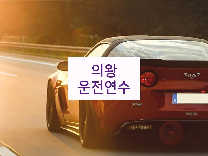 의왕운전연수 후기