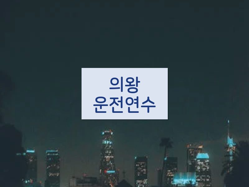 의왕운전연수 후기
