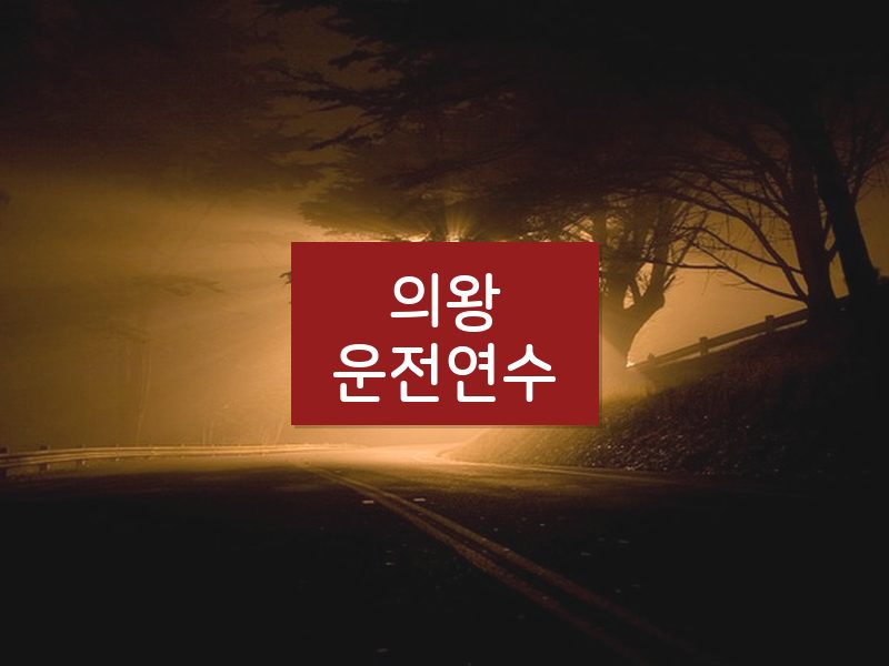 의왕운전연수 후기