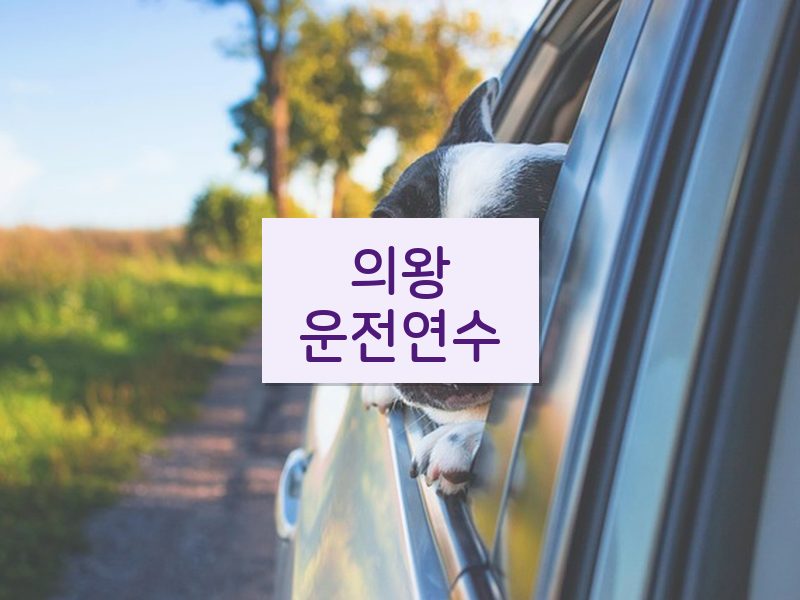 의왕운전연수 후기