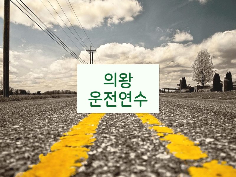 의왕운전연수 후기