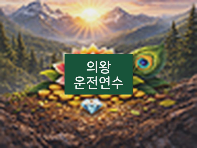 의왕운전연수 후기