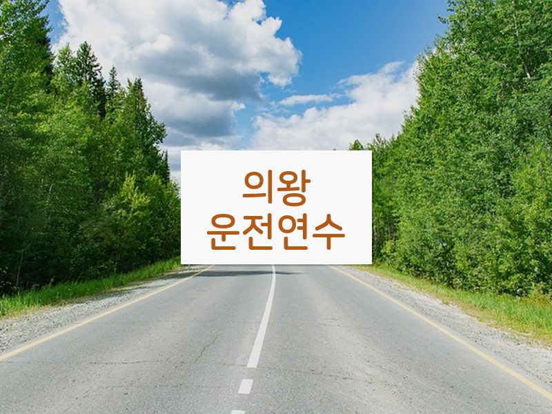 의왕운전연수 후기
