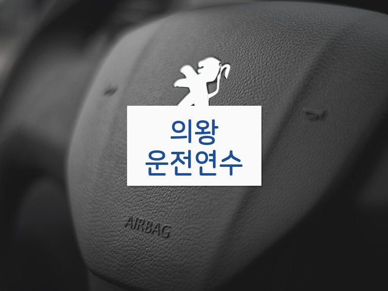 의왕운전연수 후기