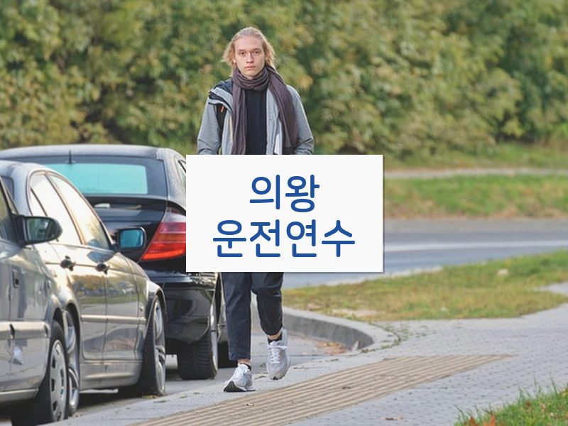 의왕운전연수 후기