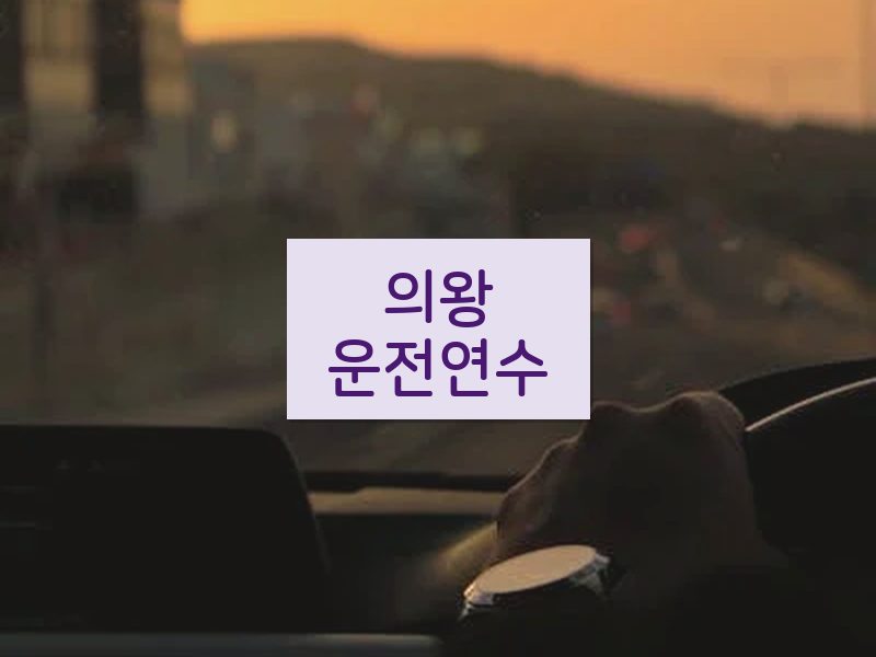 의왕운전연수 후기