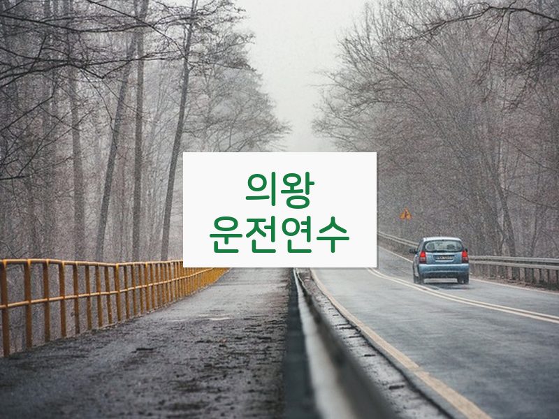 의왕운전연수 후기