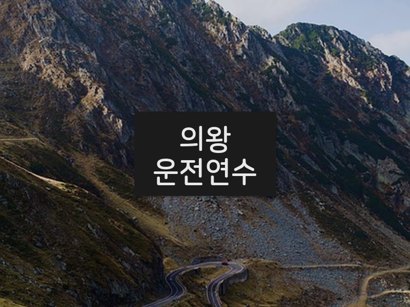 의왕운전연수 후기