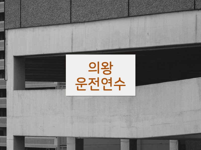 의왕운전연수 후기