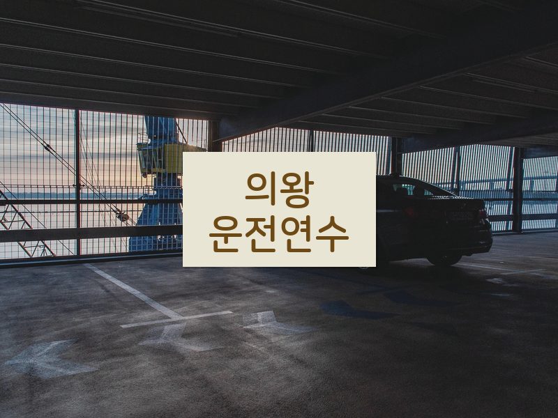 의왕운전연수 후기