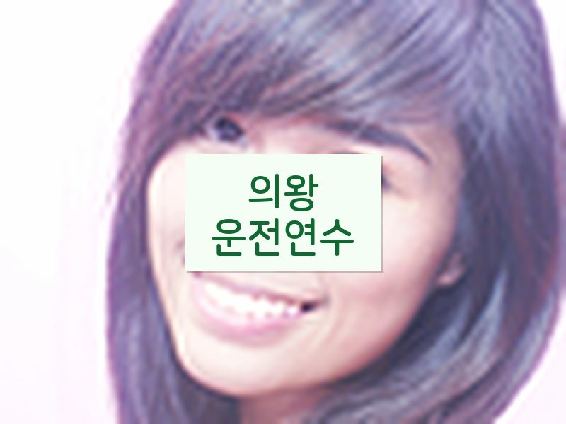 의왕운전연수 후기