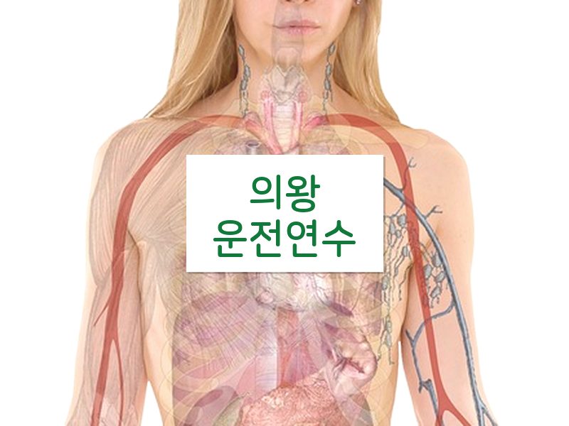 의왕운전연수 후기
