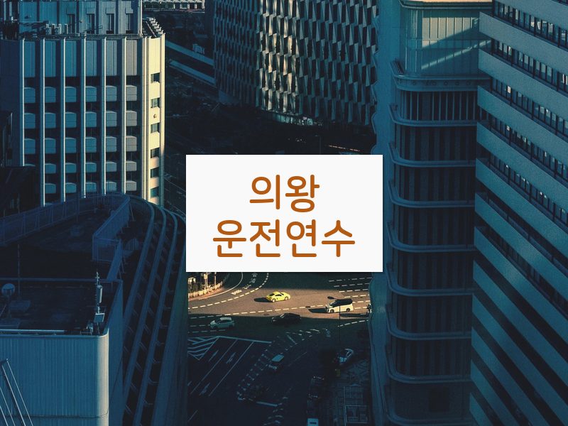 의왕운전연수 후기