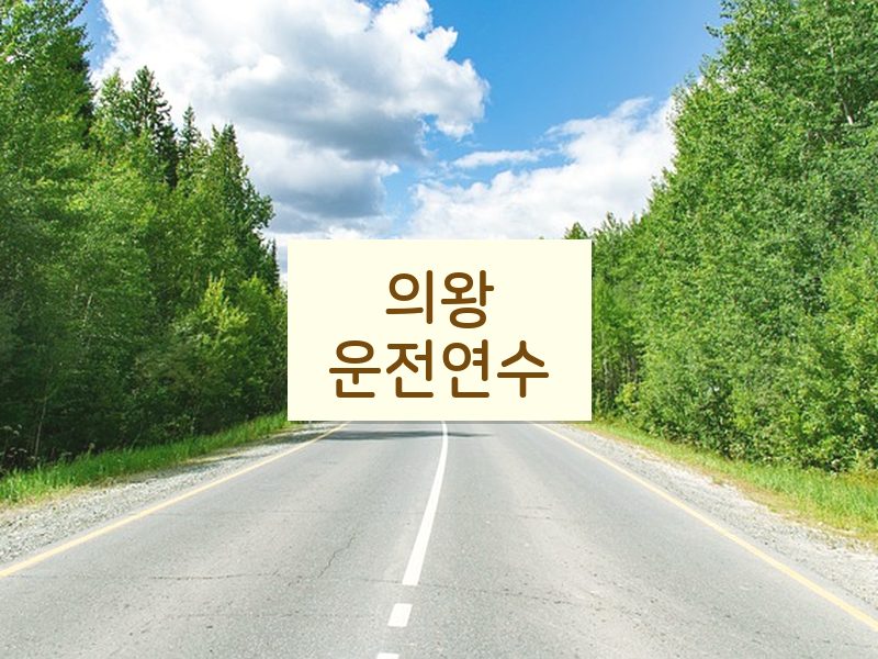 의왕운전연수 후기