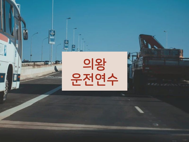 의왕운전연수 후기