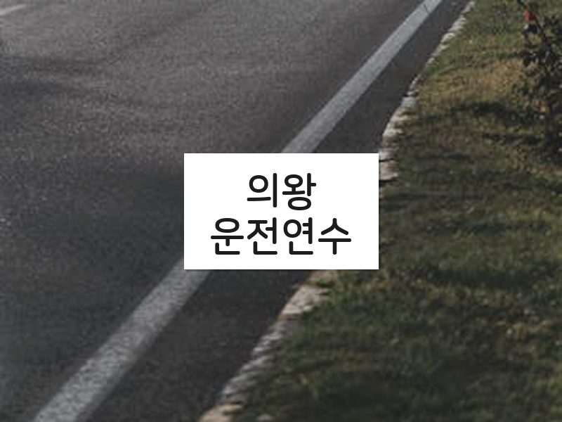 의왕운전연수 후기